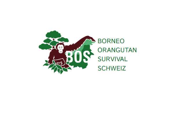 Borneo Orangutan Survival BOS Schweiz